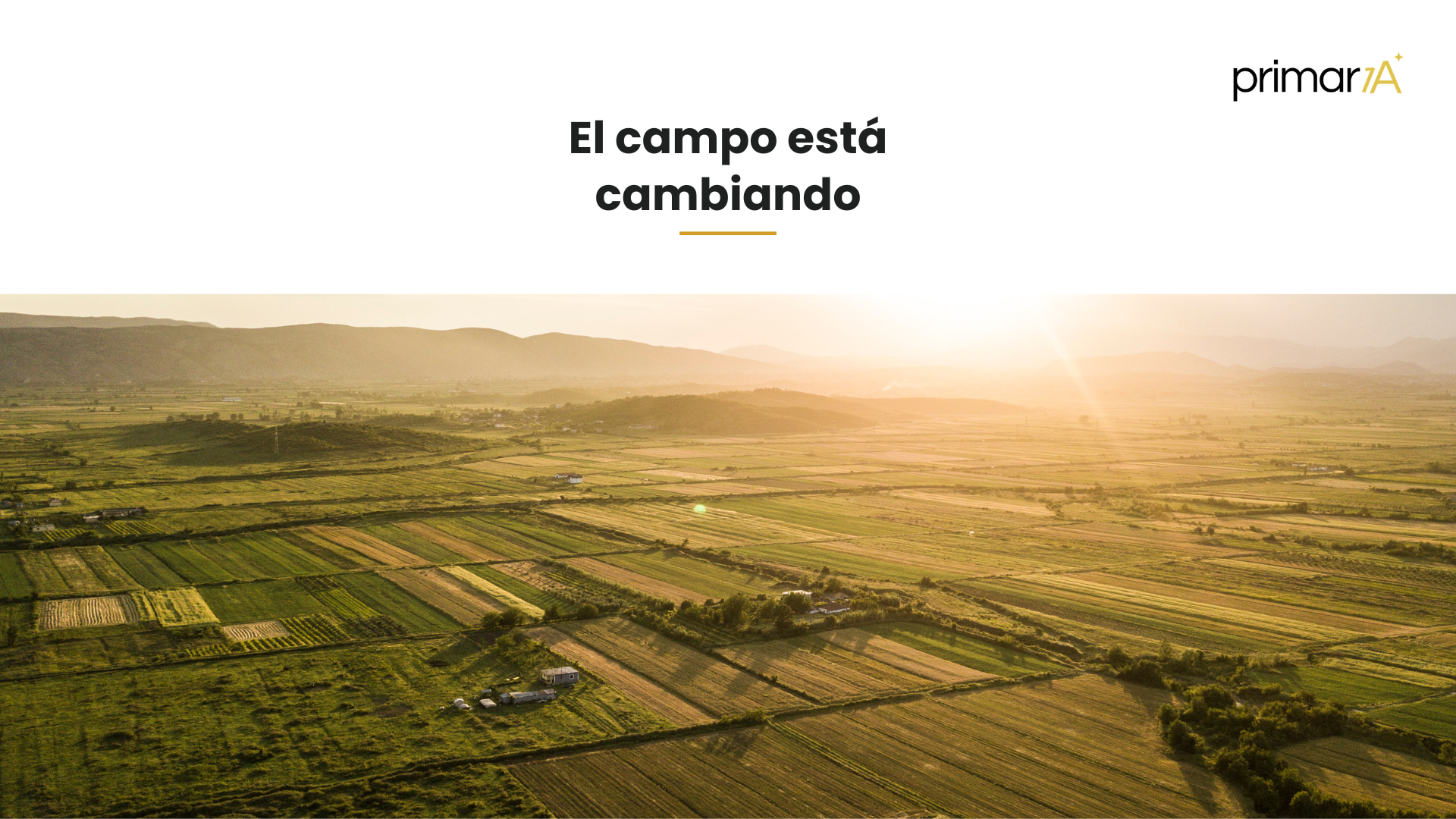 Cómo conseguir el mejor precio para tus frutas y hortalizas en 2025