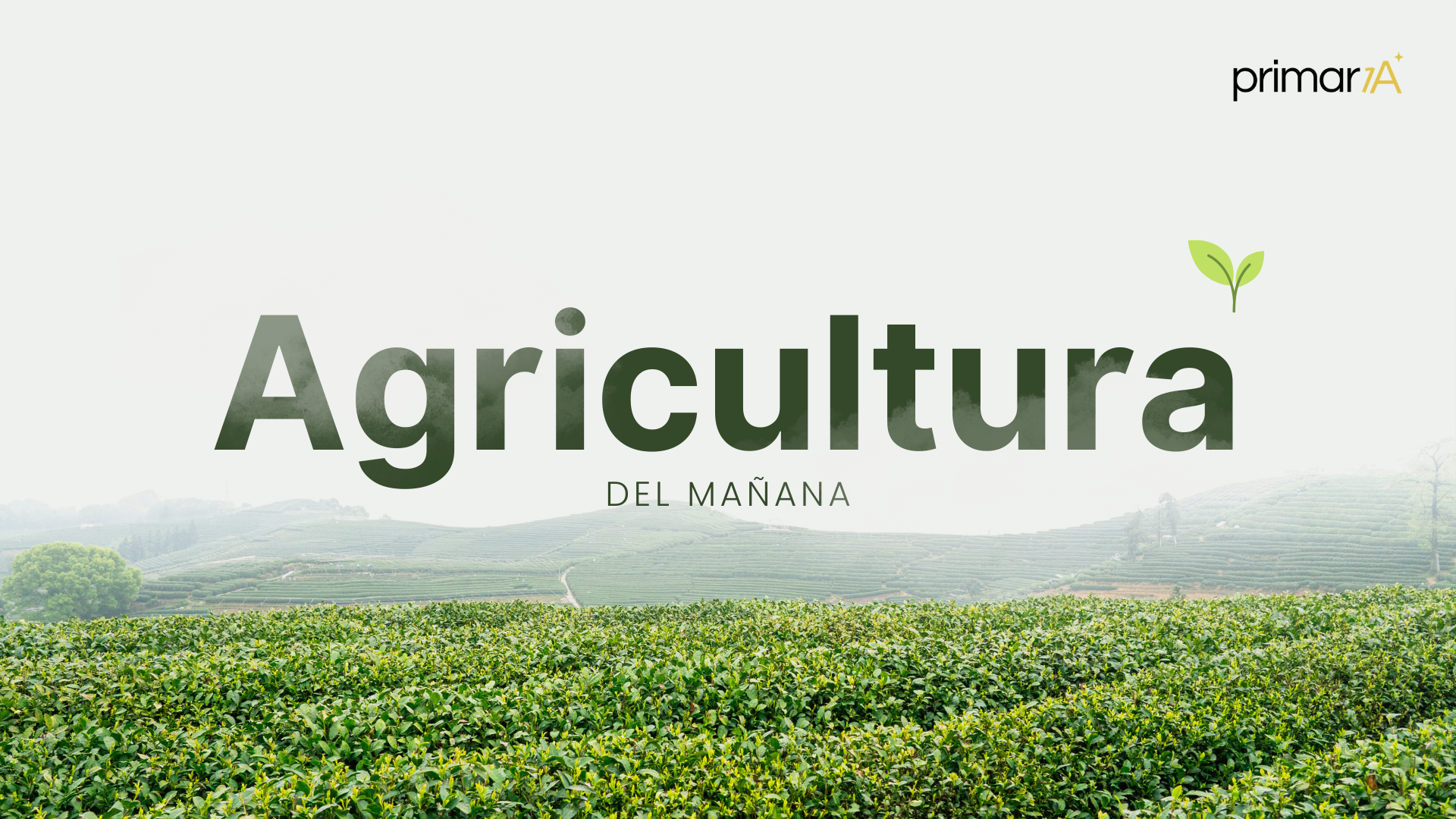La venta agrícola en España: retos y soluciones prácticas para productores